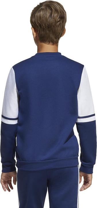 Image du produit adidas Squadra 25 SW CREW Y (128)