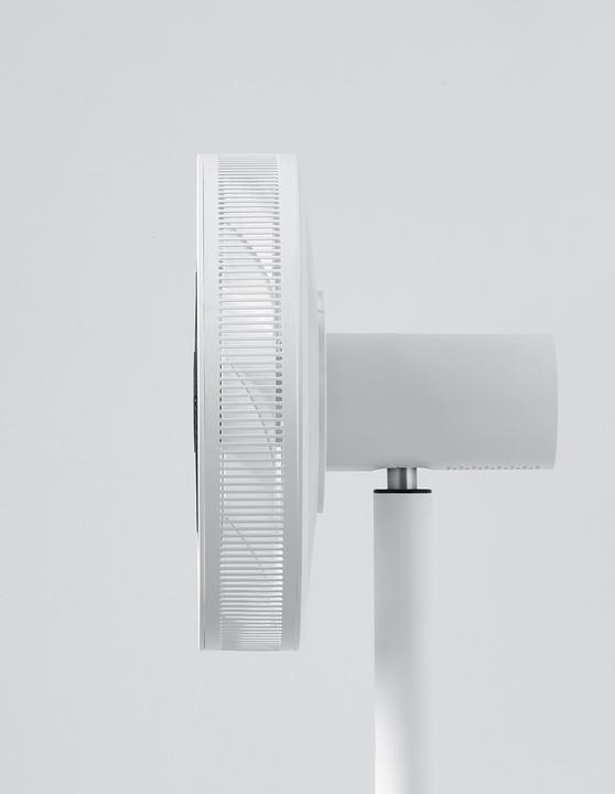 Actual product image Balmuda The Green Fan (13 dB)