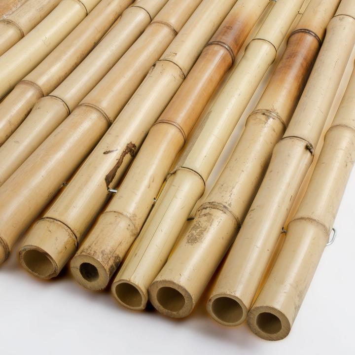 Produktbild Casa Pura Bambus-Sichtschutzzau (250 cm)