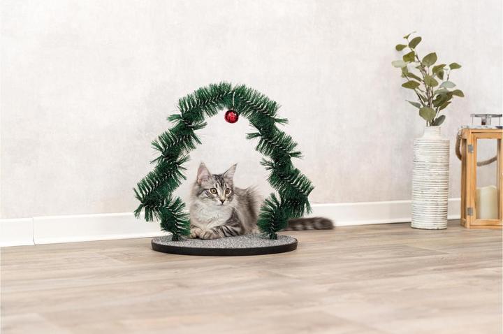 Immagine prodotto Trixie Massaggio natalizio e scheda per la cura del pelo (Gatto)