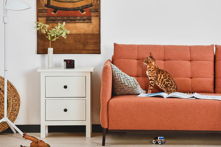 Image du produit Petcube Caméra pour animaux domestiques avec distribution de friandises (1 l)