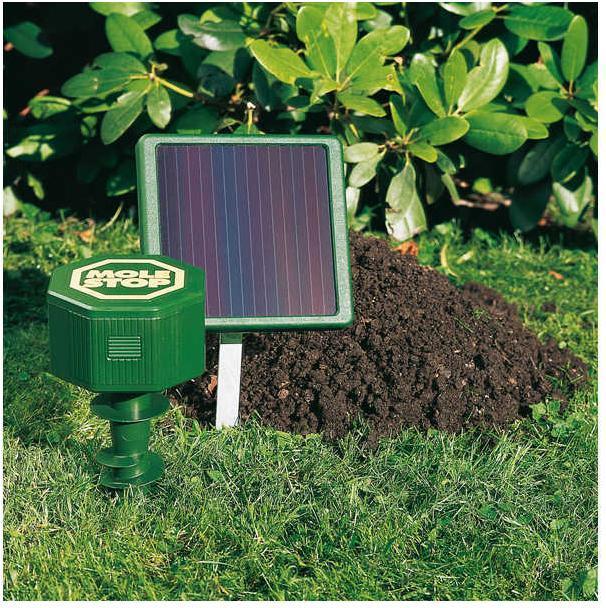 Image du produit Windhager répulsif pour campagnols et taupes
