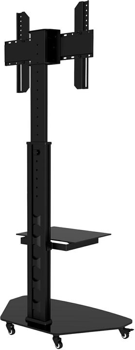 Image du produit Audioraq Accueil (Universel, 70", 40 kg)