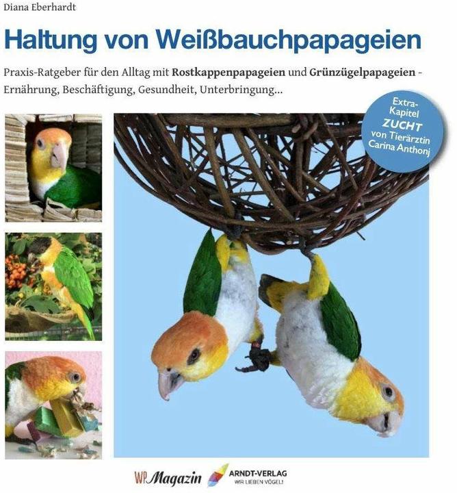 Produktbild Haltung von Weissbauchpapageien (Deutsch, Diana Eberhardt, 2019)