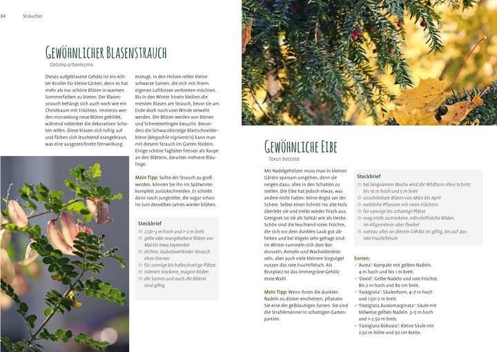 Actual product image Heimische Pflanzen für den Garten (German, Elke Schwarzer, 2022)