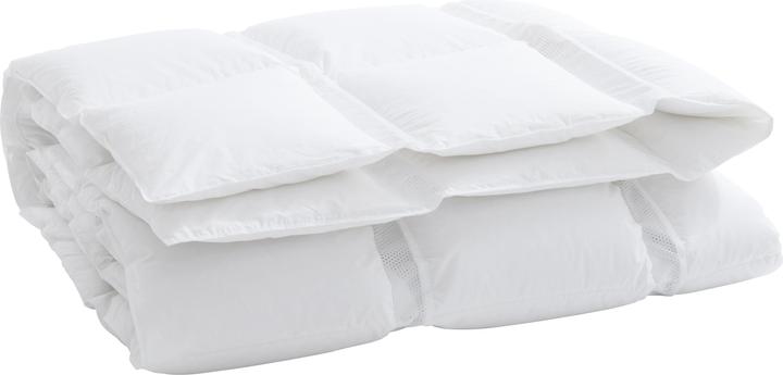 Image du produit Billerbeck Climabalance Classic (600 g, 160 x 240 cm)