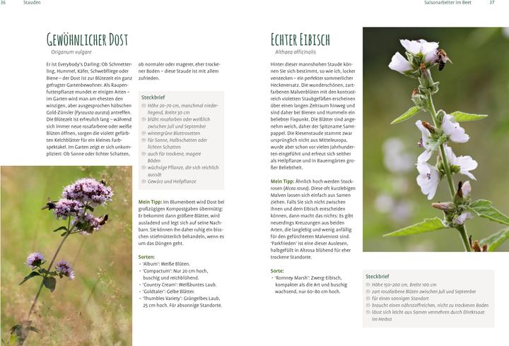 Actual product image Heimische Pflanzen für den Garten (German, Elke Schwarzer, 2022)