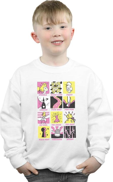 Actual product image Disney Boys Tinkerbell Squares Sweatshirt (140, 146)