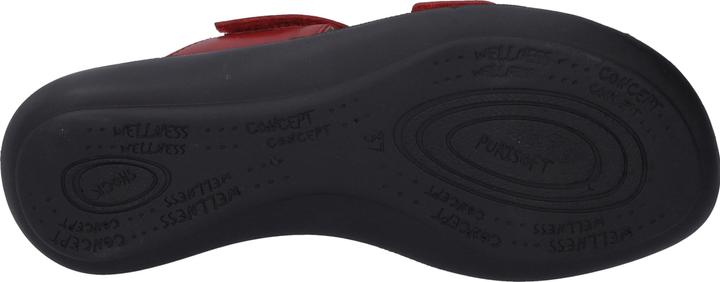 Image du produit Westland 16775-84 (36)