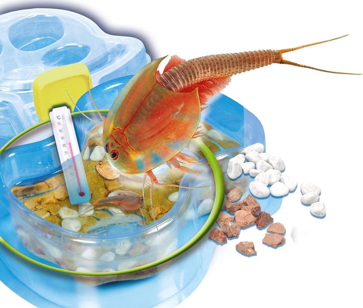 Actual product image Clementoni Galileo refill set