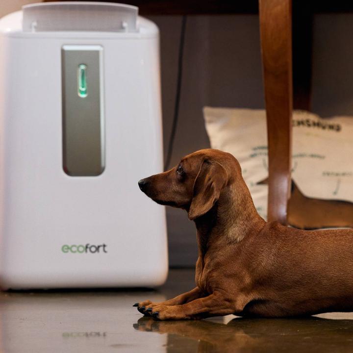 Produktbild ecofort ecoQ DryAir 20L (50 m², 20 l/24h)