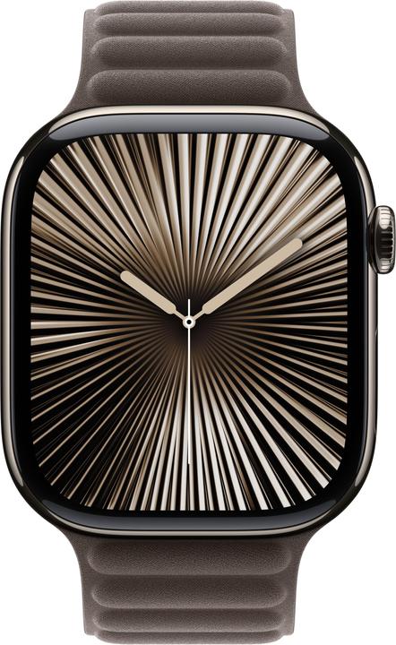 Produktbild Apple Magnetic Link Bracelet (46 mm, Feintwill)