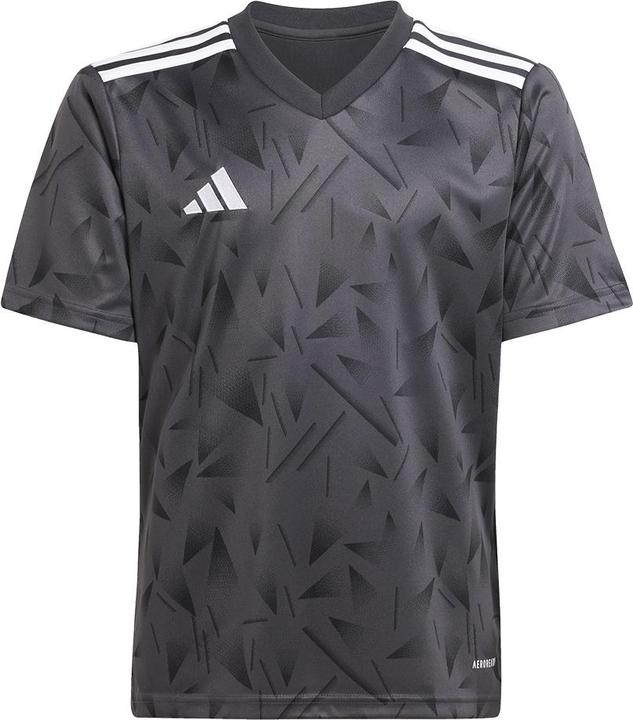 Image du produit adidas Maillot Team Icon 25 Enfants (176)