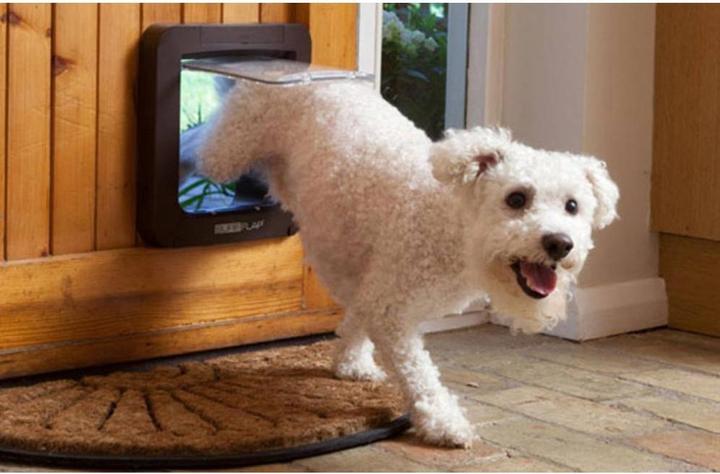 Actual product image SureFlap XXL cat door (Microchip Cat Flap)