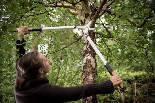 Actual product image Fiskars Pruning shears bypass Quantum 80 cm