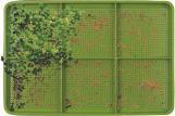 Immagine prodotto Cook Concept Vassoio di germinazione