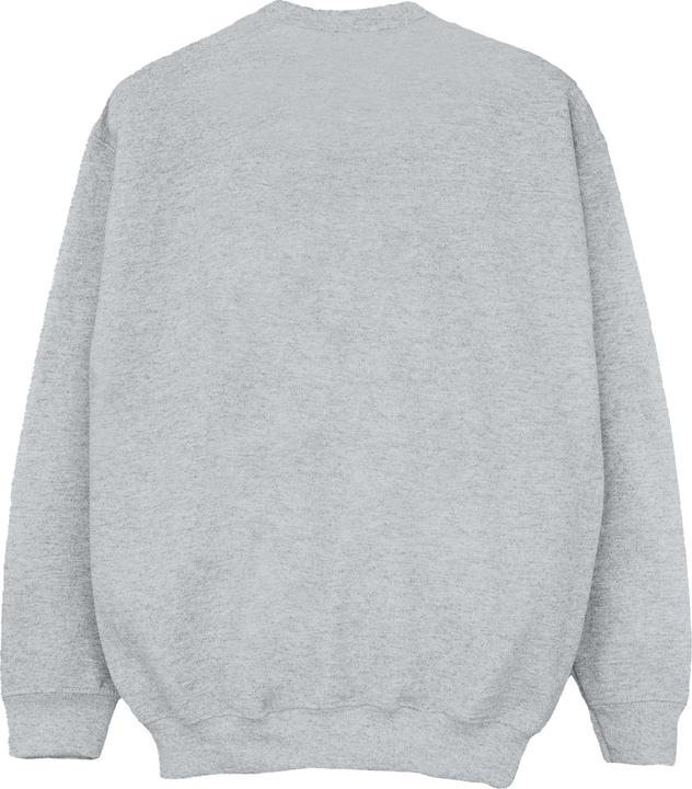Image du produit Disney - Sweat THE LION KING BRAVE LIKE DAD - Garçon (140, 146)