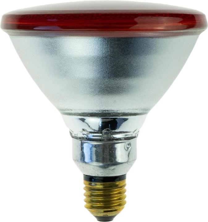 Philips Infrared heat lamp (175 W)