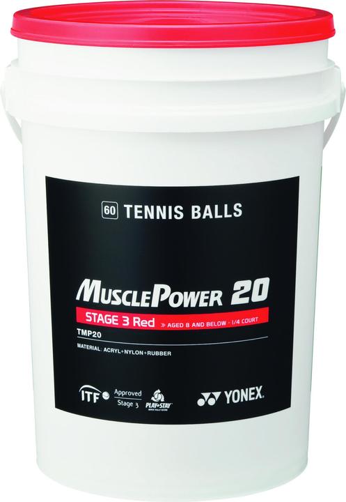 Stage 3 Muscle Power 20