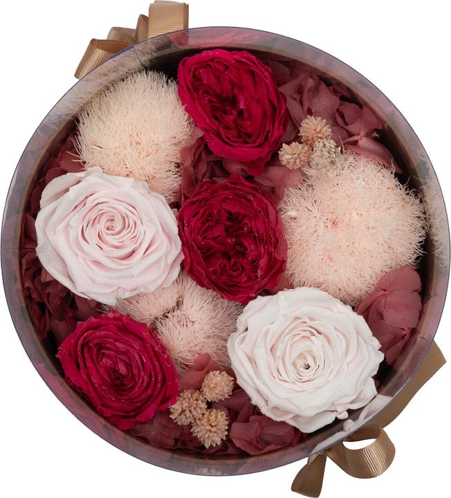 Actual product image Migros Ostschweiz Premium roses (stabilised roses) in the Pandora Box (Infinity Flowers)