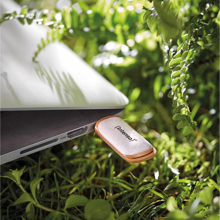 Actual product image Intenso Green Line (64 GB, USB-A)