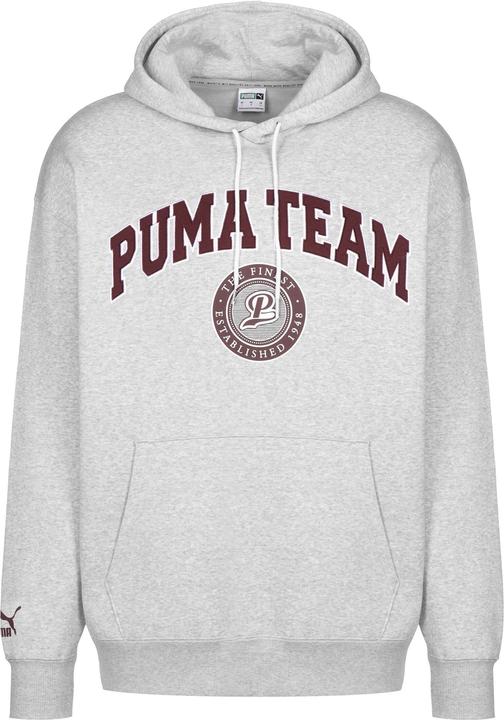 Produktbild Puma Team Hoodie FL (S)
