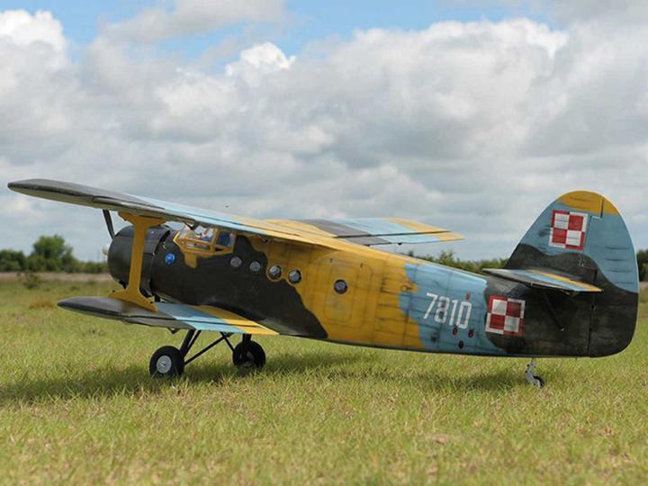Actual product image Black Horse Antonov AN-2 / 2425mm biplane (Multi motor)