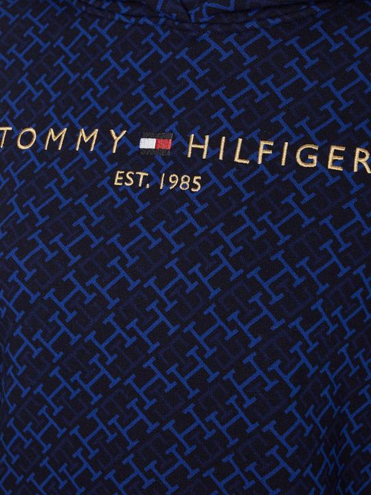 Image du produit Tommy Hilfiger Sweat-shirt isolé pour femme avec capuche (XS)