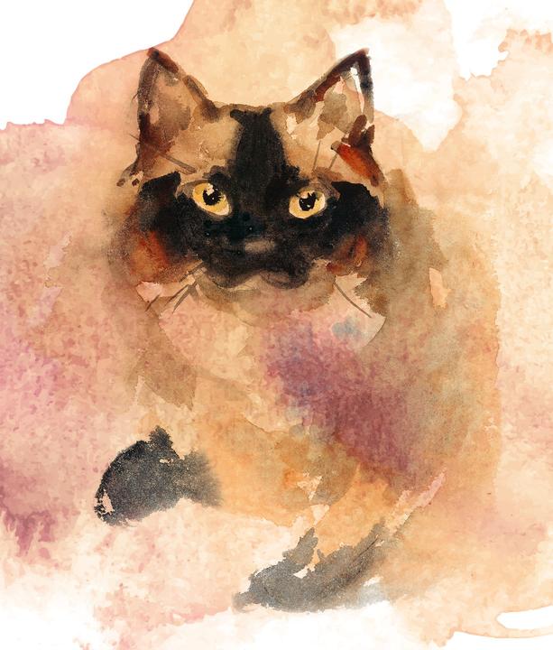 Immagine prodotto Libro da colorare Inside Out: Animali ad acquerello
