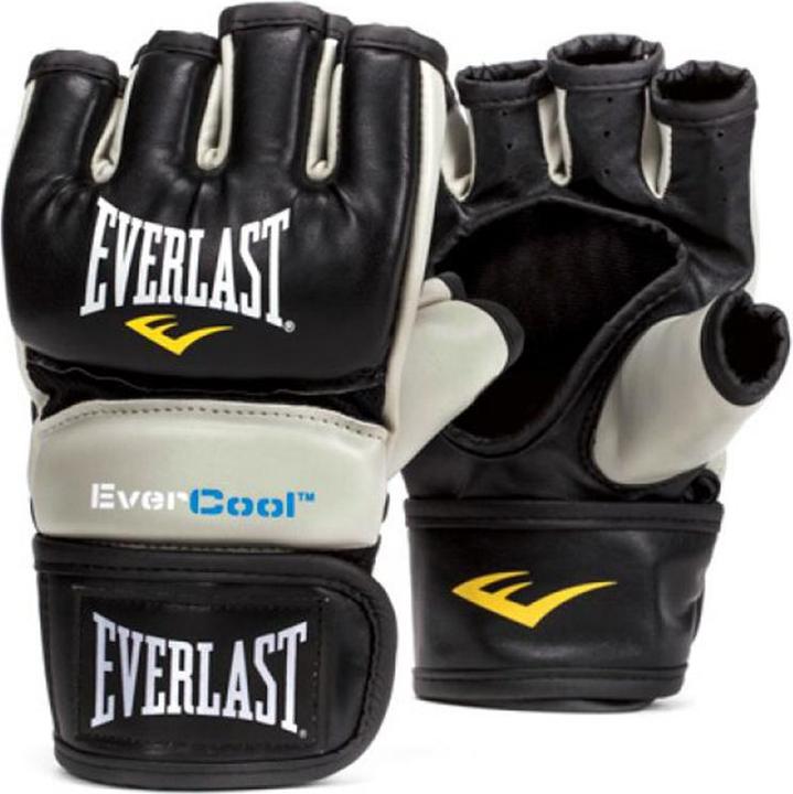 Image du produit Everlast Gants d'entraînement Everstrike (L, XL)