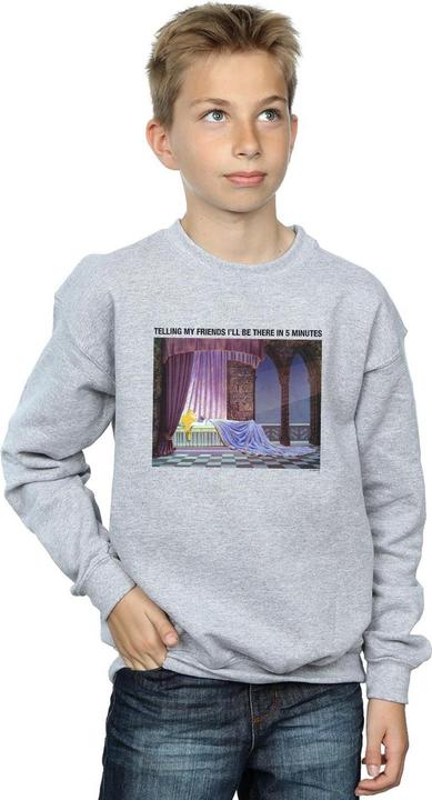 Actual product image Disney Boys Sleeping Beauty I'll Be There In 5 Sweatshirt (116)