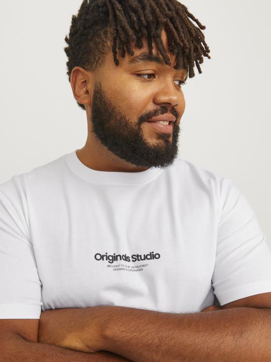 Produktbild Jack & Jones Jorvesterbro Tee Ss Crew Neck Noos Pls (XXL)