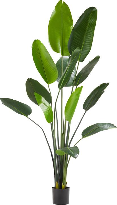 tectake Künstlicher Paradiesvogelbaum Tropic, naturgetreu (180 cm)