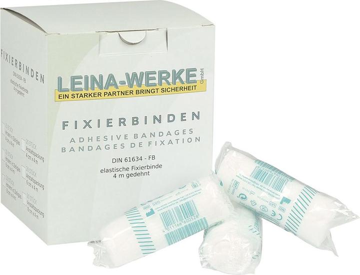 Actual product image Leina Fixation bandages 10 cm / 1 pc.