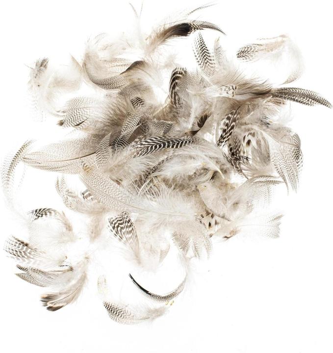 Produktbild Glorex Federn Hahn 5-12 cm, 10g, Braun
