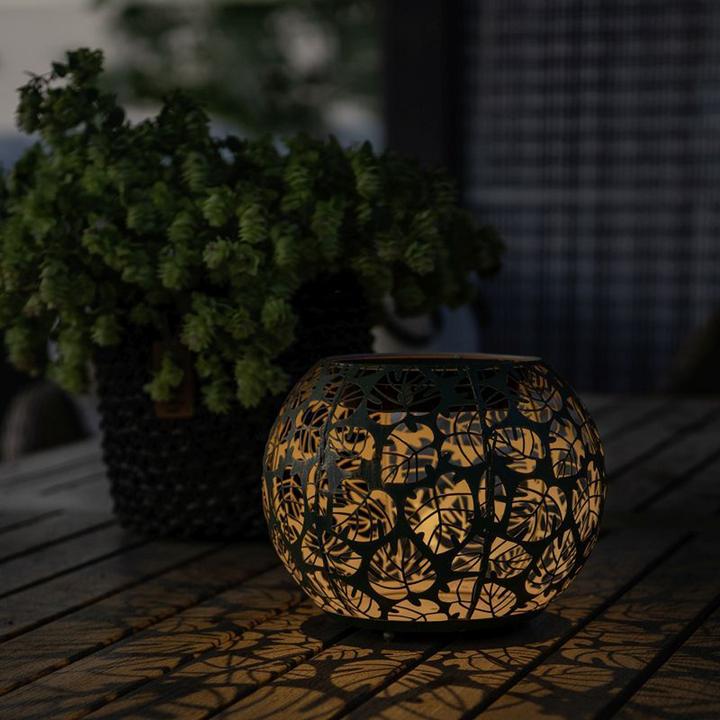 Immagine prodotto STT Monstera