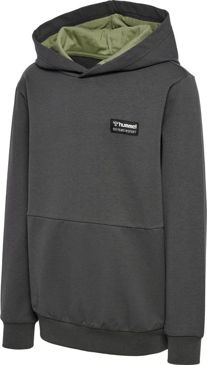 hummel Hmlglen Hoodie