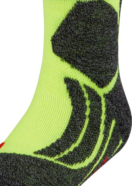 Immagine prodotto Falke SK2 Stripes Kids (31 - 34)