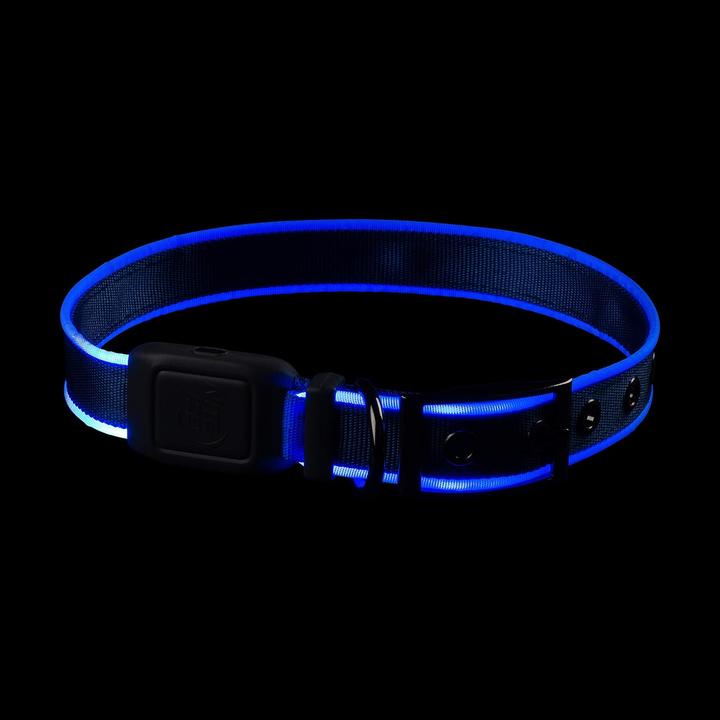 Produktbild Nite Ize NiteDog™ Rechargeable LED Collar M (Hund)