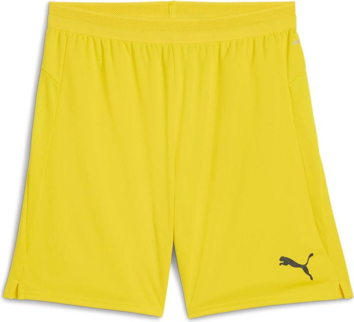 Puma teamCUP Shorts
