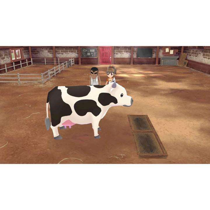Actual product image Marvelous Story of Seasons: A Wonderful Life Switch UK (Switch, EN)
