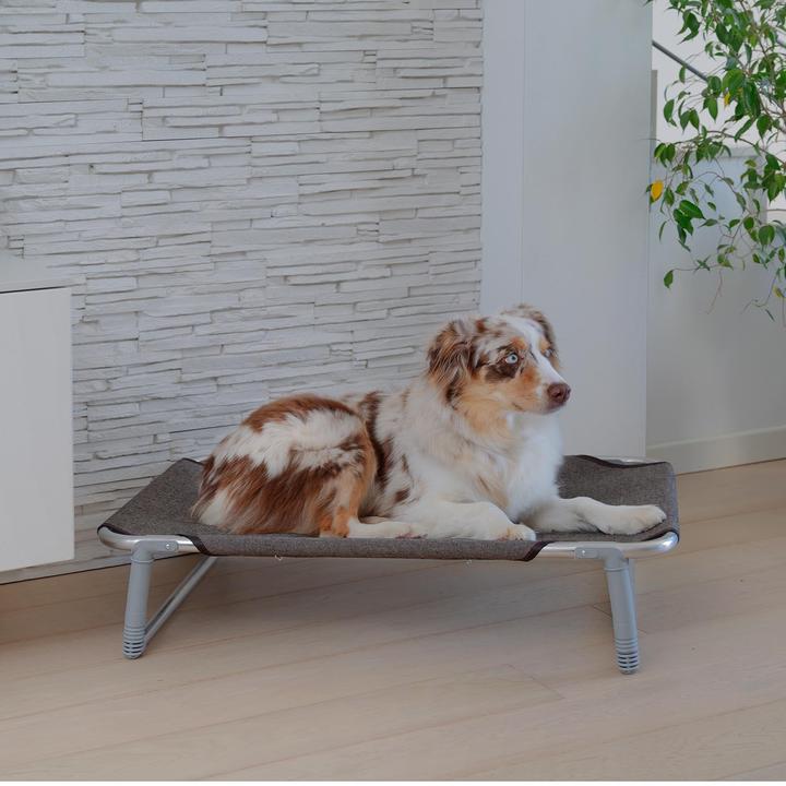 Produktbild Ferplast Dream (Hund)
