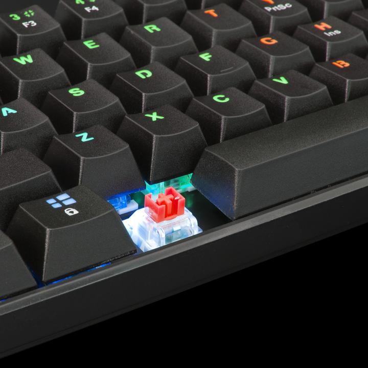 Image du produit White Shark Clavier de jeu mécanique blanc Shark Shinobi, OUTEMU RED Switch, rétroéclairage LED RGB complet, U (US, Filaire)