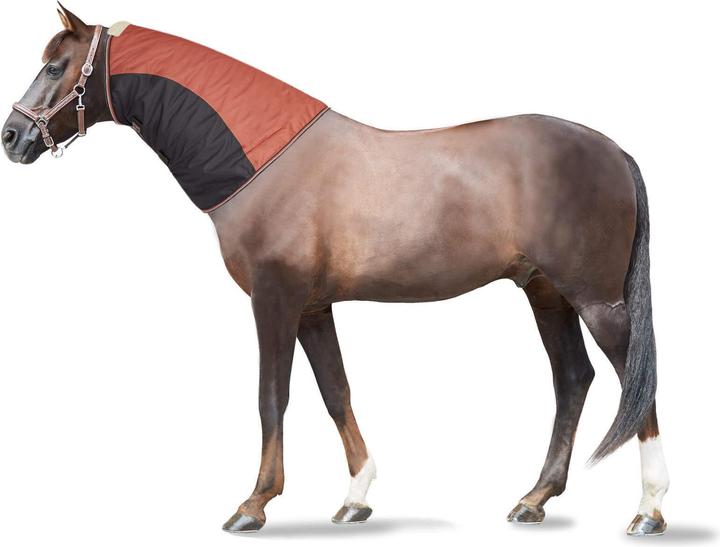 Image du produit Horze Lucerne 250g (145 cm)