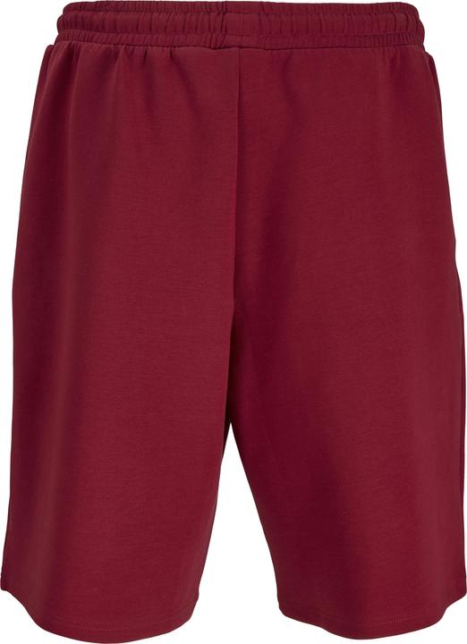 Image du produit Jack & Jones Jpstbill Fletcher Shorts C Org Styd Ss25 (XS)