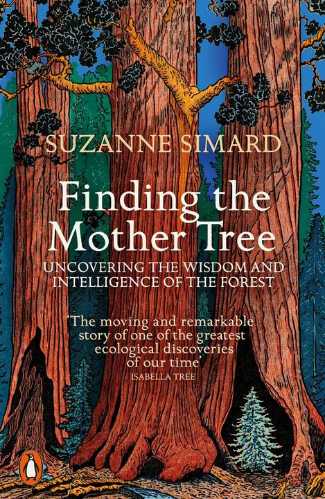 Produktbild Finding the Mother Tree (Englisch, Suzanne Simard, 2022)