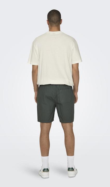 Image du produit Only & Sons Coupe normale Short Short (S)