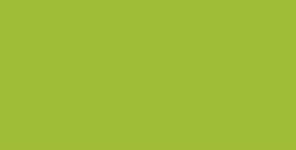 Actual product image smiT Magnetic RECTANGLE symbol, LxW 60 x 30 mm, pack of 20, green.