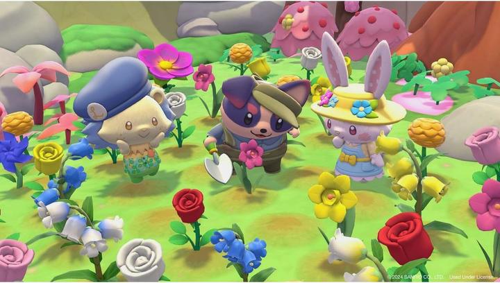 Actual product image Hello Kitty Island Adventure - Deluxe Edition (Switch, DE)