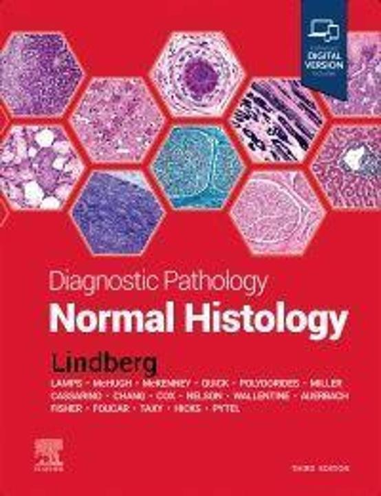 Produktbild Diagnostic Pathology: Normal Histology (Englisch, Matthew R Lindberg, 2022)